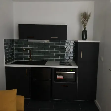 Appartement Joli Duplex Dijon
